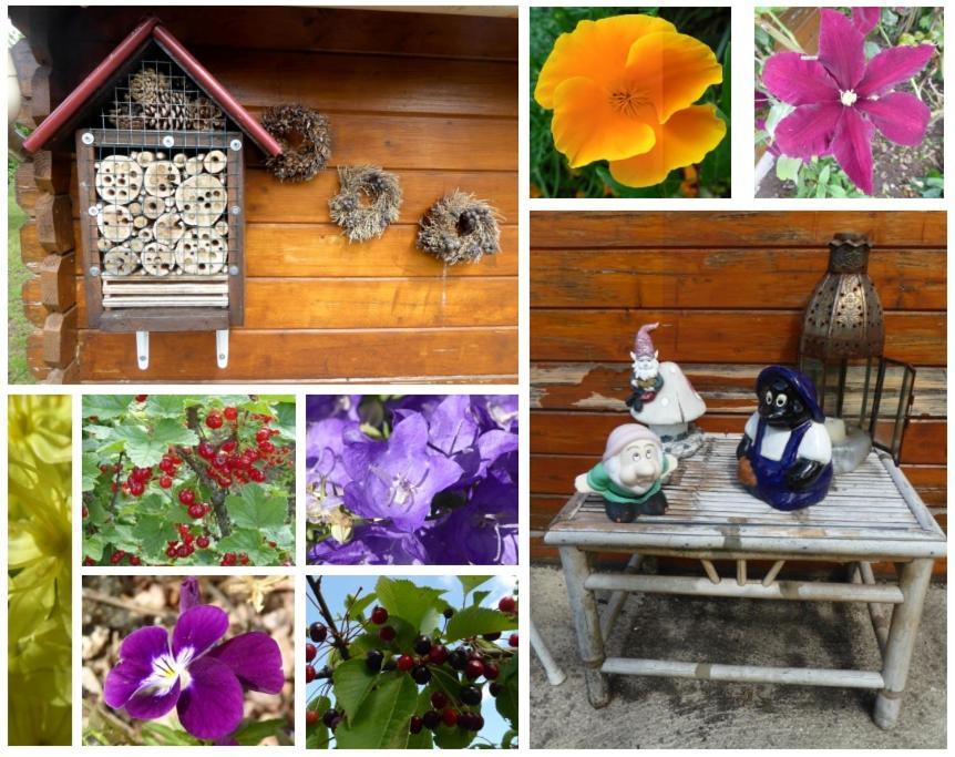 Au Rendez Vous De L'Auxois B&B Essey Exteriör bild